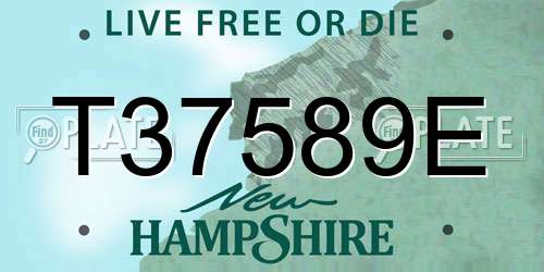 T37589E New Hampshire License Plate