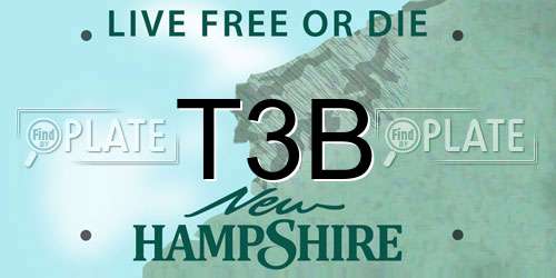 T3B New Hampshire License Plate