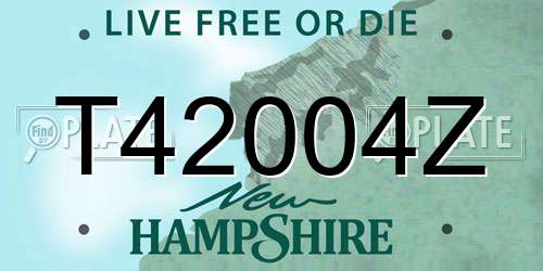 T42004Z New Hampshire License Plate