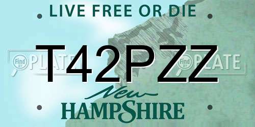 T42PZZ New Hampshire License Plate