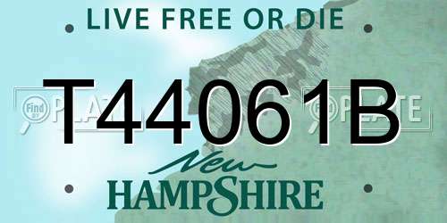 T44061B New Hampshire License Plate