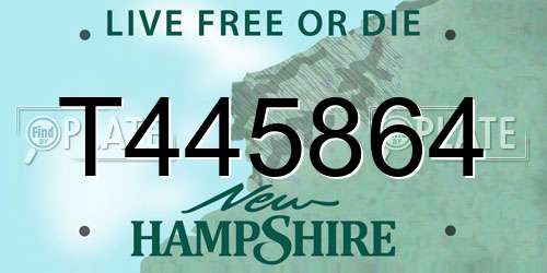 T445864 New Hampshire License Plate