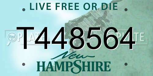 T448564 New Hampshire License Plate