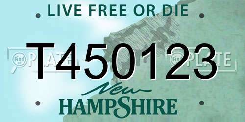 T450123 New Hampshire License Plate