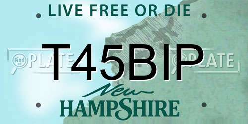 T45BIP New Hampshire License Plate