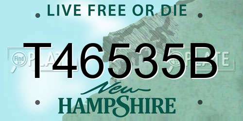 T46535B New Hampshire License Plate