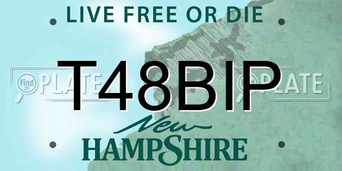 T48BIP New Hampshire License Plate
