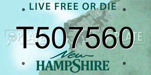 T507560 New Hampshire License Plate