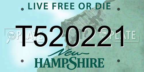 T520221 New Hampshire License Plate
