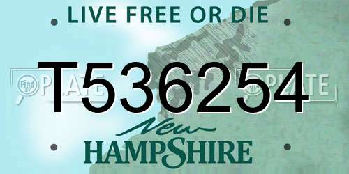 T536254 New Hampshire License Plate