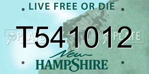 T541012 New Hampshire License Plate
