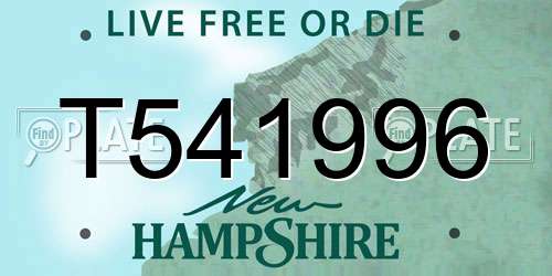 T541996 New Hampshire License Plate