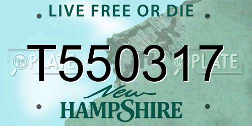 T550317 New Hampshire License Plate