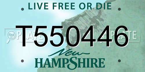 T550446 New Hampshire License Plate