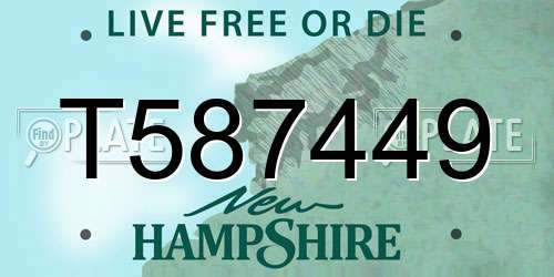T587449 New Hampshire License Plate