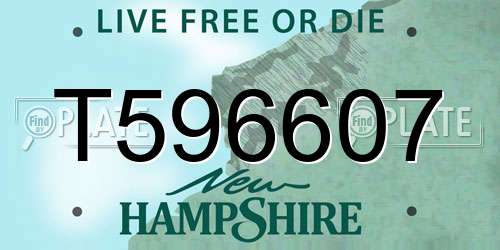 T596607 New Hampshire License Plate