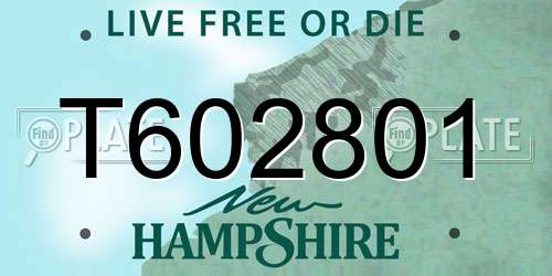 T602801 New Hampshire License Plate
