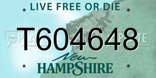 T604648 New Hampshire License Plate