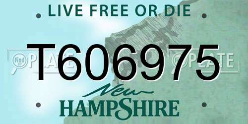 T606975 New Hampshire License Plate
