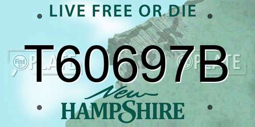 T60697B New Hampshire License Plate