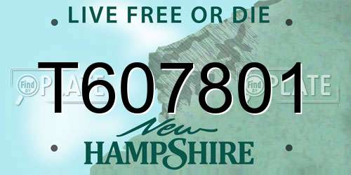 T607801 New Hampshire License Plate