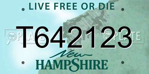 T642123 New Hampshire License Plate