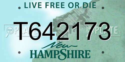 T642173 New Hampshire License Plate