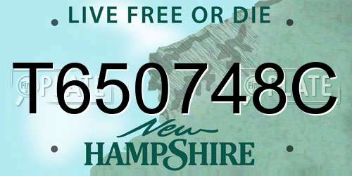 T650748C New Hampshire License Plate