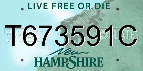 T673591C New Hampshire License Plate