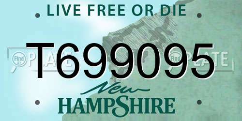 T699095 New Hampshire License Plate