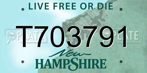 T703791 New Hampshire License Plate