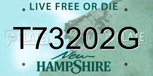 T73202G New Hampshire License Plate