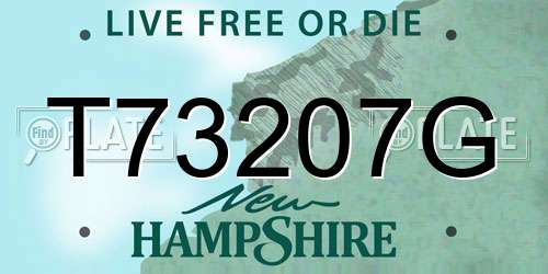 T73207G New Hampshire License Plate