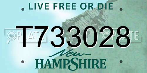 T733028 New Hampshire License Plate