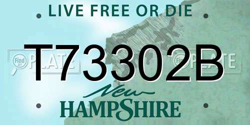 T73302B New Hampshire License Plate