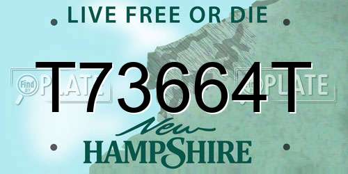 T73664T New Hampshire License Plate