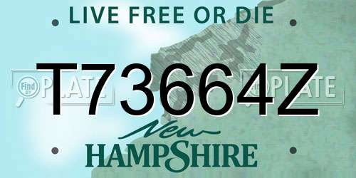 T73664Z New Hampshire License Plate