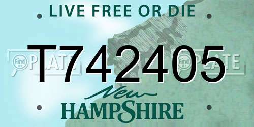 T742405 New Hampshire License Plate