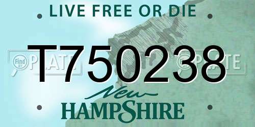 T750238 New Hampshire License Plate