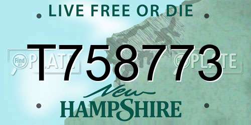 T758773 New Hampshire License Plate