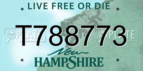 T788773 New Hampshire License Plate
