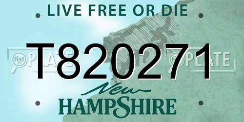 T820271 New Hampshire License Plate