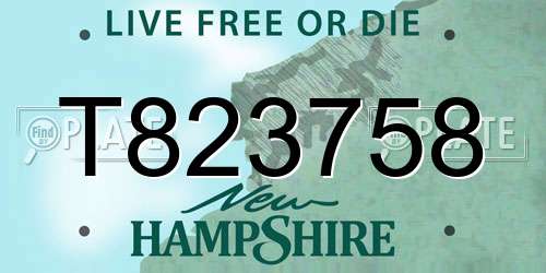 T823758 New Hampshire License Plate