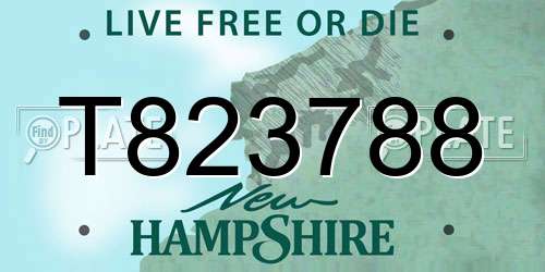 T823788 New Hampshire License Plate