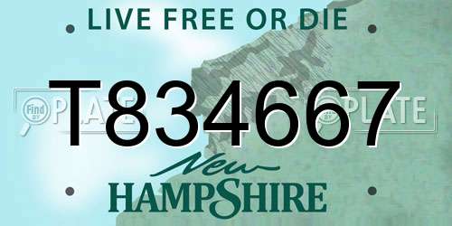 T834667 New Hampshire License Plate