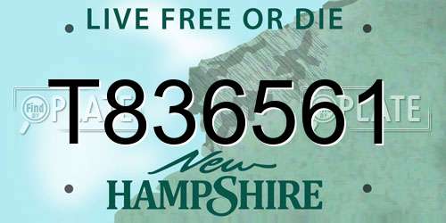 T836561 New Hampshire License Plate
