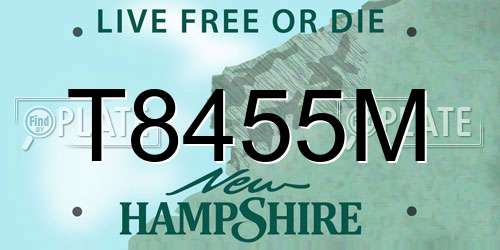 T8455M New Hampshire License Plate