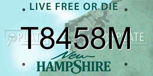 T8458M New Hampshire License Plate