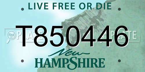 T850446 New Hampshire License Plate