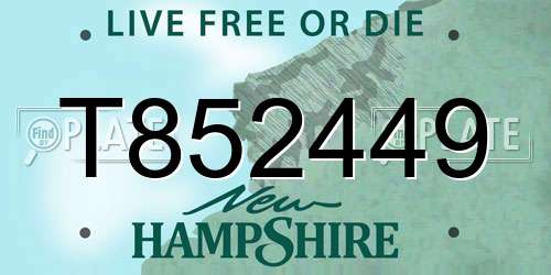 T852449 New Hampshire License Plate